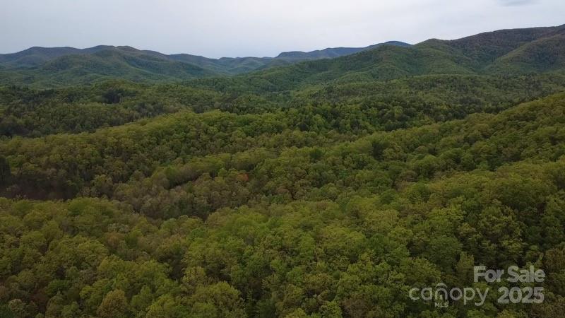 25 Sweetwater Rdg Road Balsam Grove, NC 28708 - Photo 8 of 18 Gallery Image 8