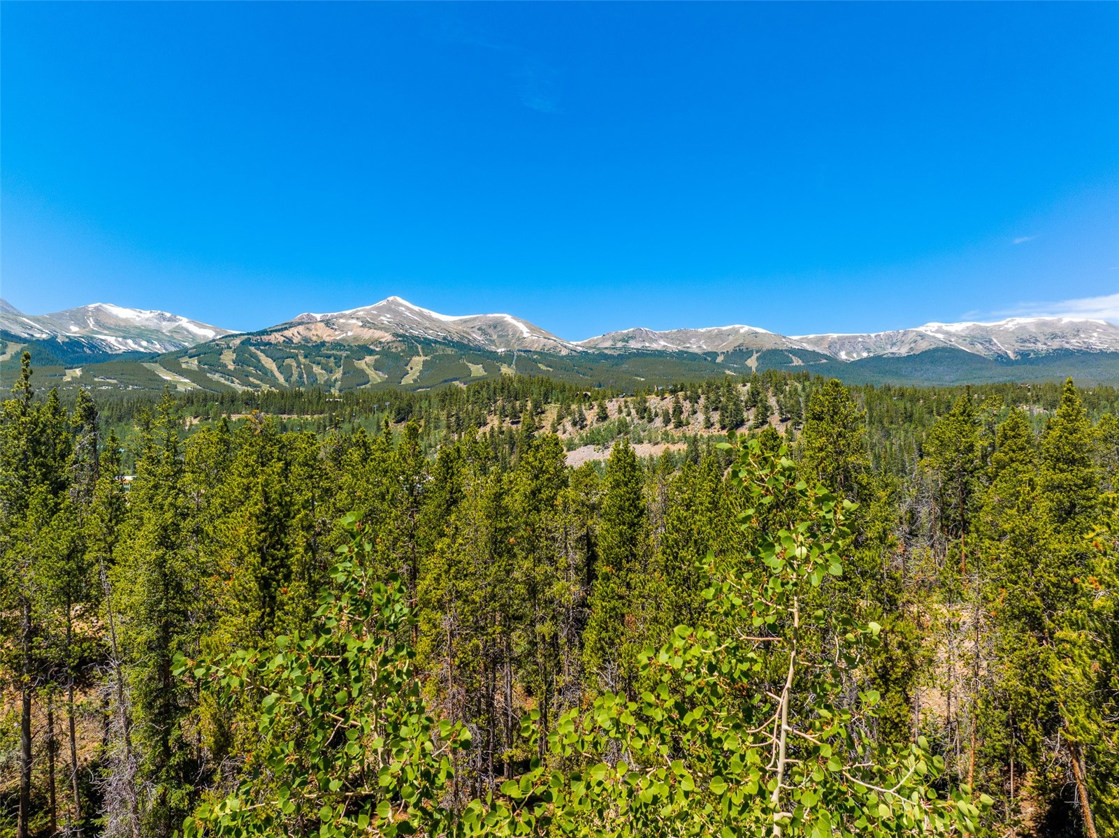 309 Royal Tiger Road Breckenridge, CO 80424 - Photo 2 of 12 a view of a mountain range with lush green forest