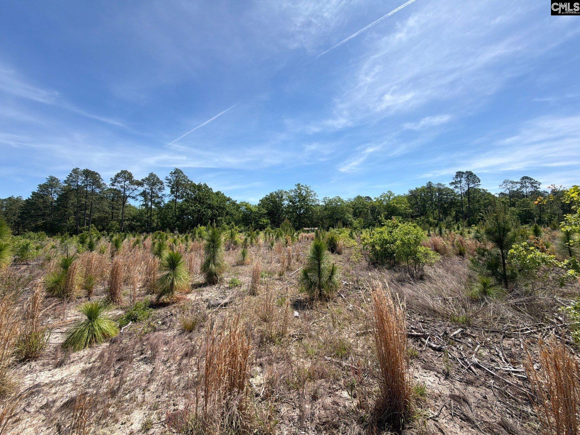 8 Holstein Road Wagener, SC 29164 - Photo 12 of 14