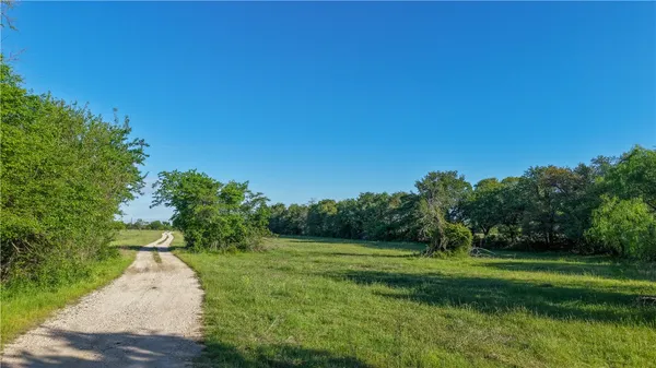 a view of a field with an ocean