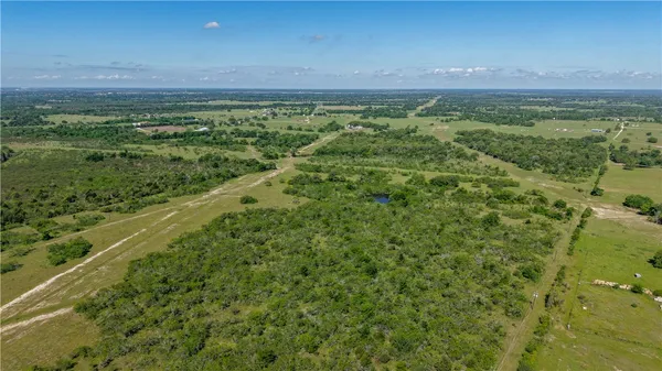 a view of a field with an ocean