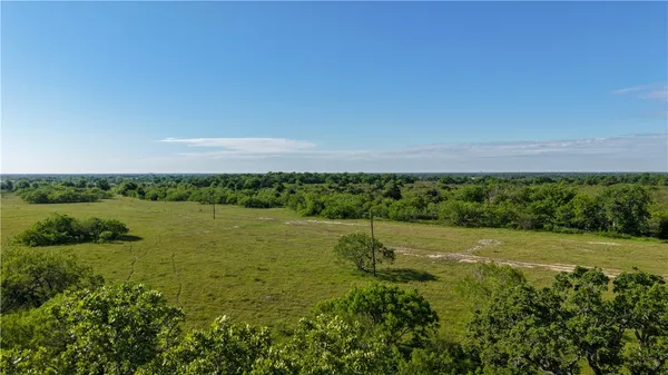 a view of a green field with lots of bushes