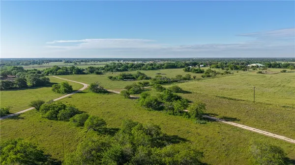 a view of a lush green space