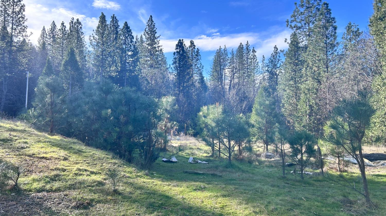 2385 Wagner Road Mokelumne Hill, CA 95245 - Photo 2 of 7