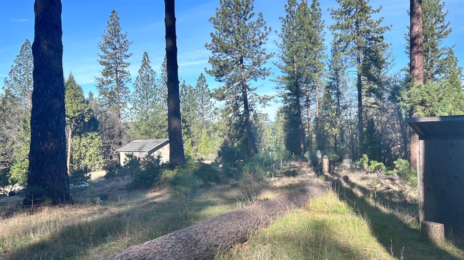 2385 Wagner Road Mokelumne Hill, CA 95245 - Photo 4 of 7