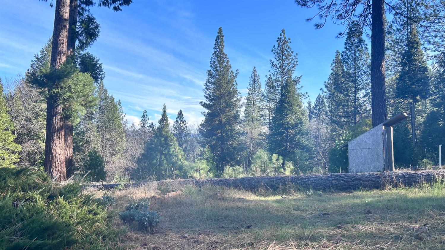 2385 Wagner Road Mokelumne Hill, CA 95245 - Photo 5 of 7