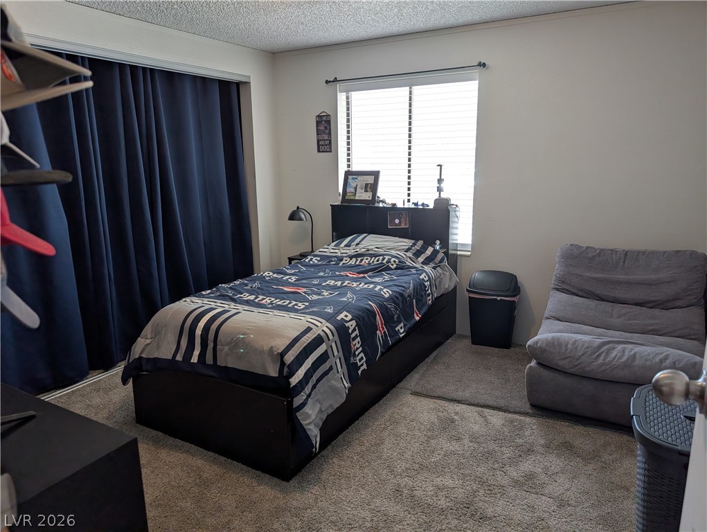 320 6th Street Panaca, NV 89042 - Photo 21 of 31 Carpeted bedroom featuring a textured ceiling