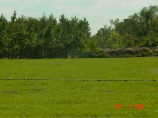 217 B Basin School Road Lucedale, MS 39452 - Photo 3 of 4 Additional Photo