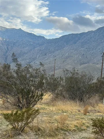 a view of a dry yard with mountains in the background