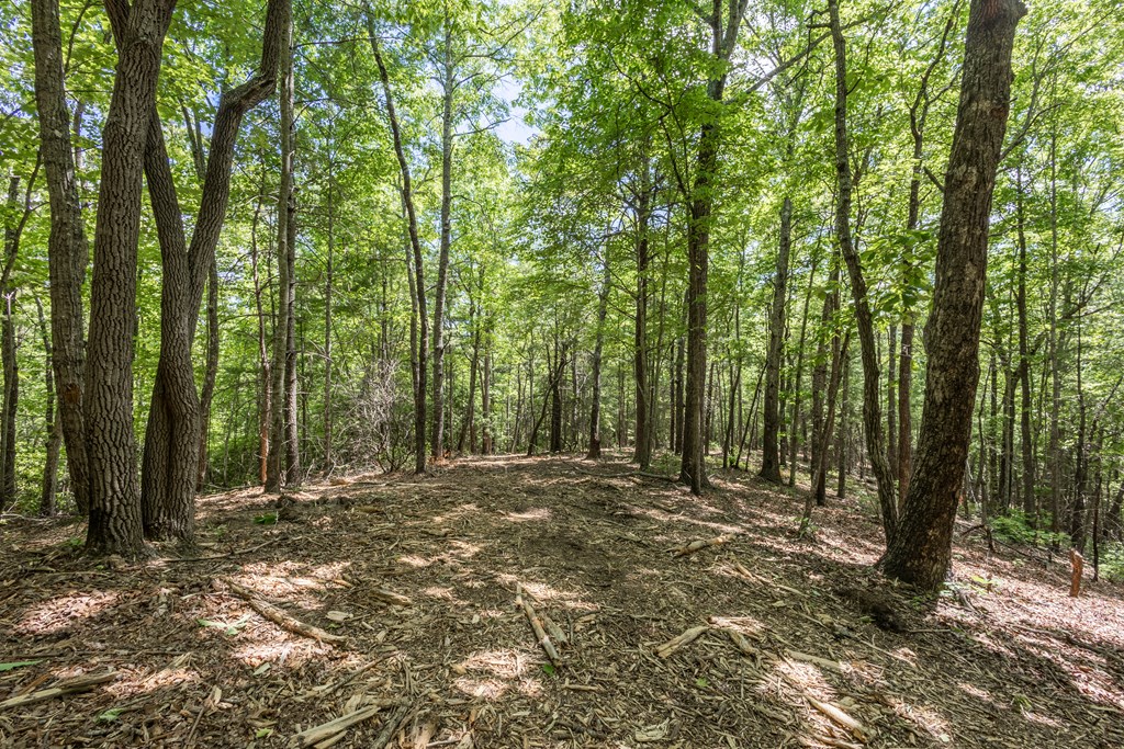 4.3-ac Donley Road Murphy, NC 28906 - Photo 5 of 14