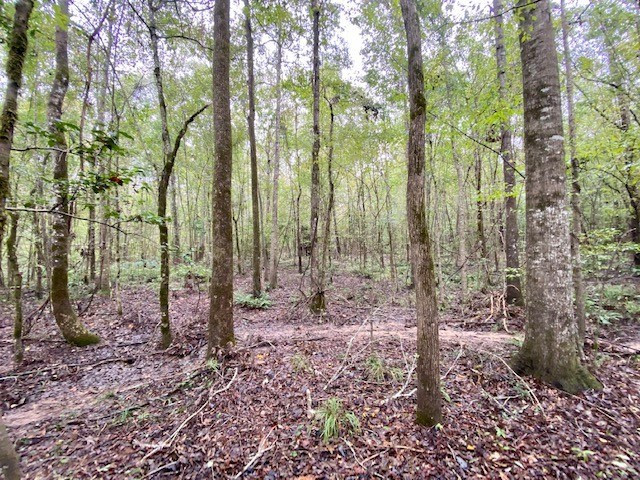 0 Lucas Road Liberty, MS 39645 - Photo 39 of 62 Photo 39
