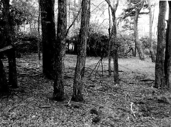 112 Highridge Road Albrightsville, PA 18210 - Photo 6 of 7 Photo 4