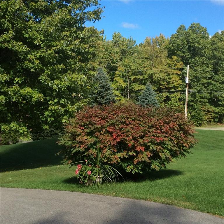 306 Stein Road Chicora, PA 16025 - Photo 20 of 25