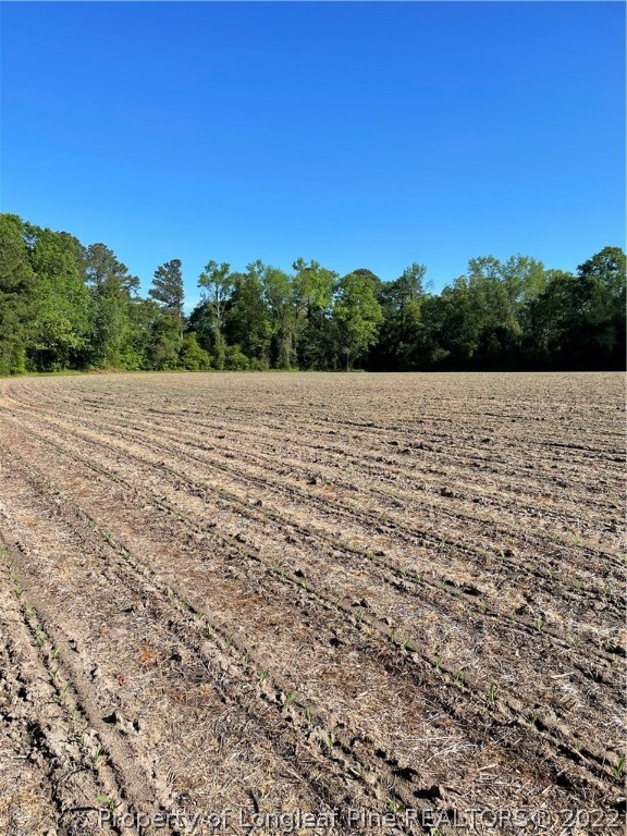 4 Rozier Road Lumberton, NC 28358 - Photo 18 of 40 Gallery Image 18