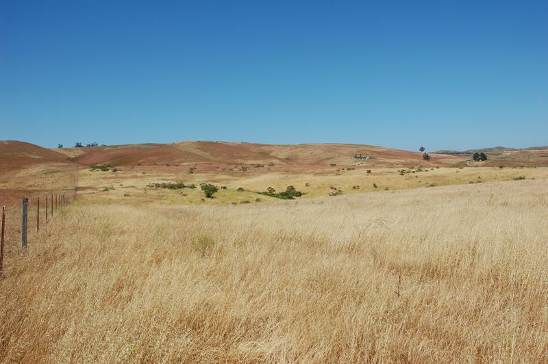21 Sweeney Road Lompoc, CA 93436 - Photo 1 of 5 42 Acres of Vineyard Land