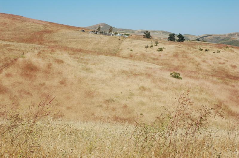21 Sweeney Road Lompoc, CA 93436 - Photo 4 of 5 42 Acres of Vineyard Land