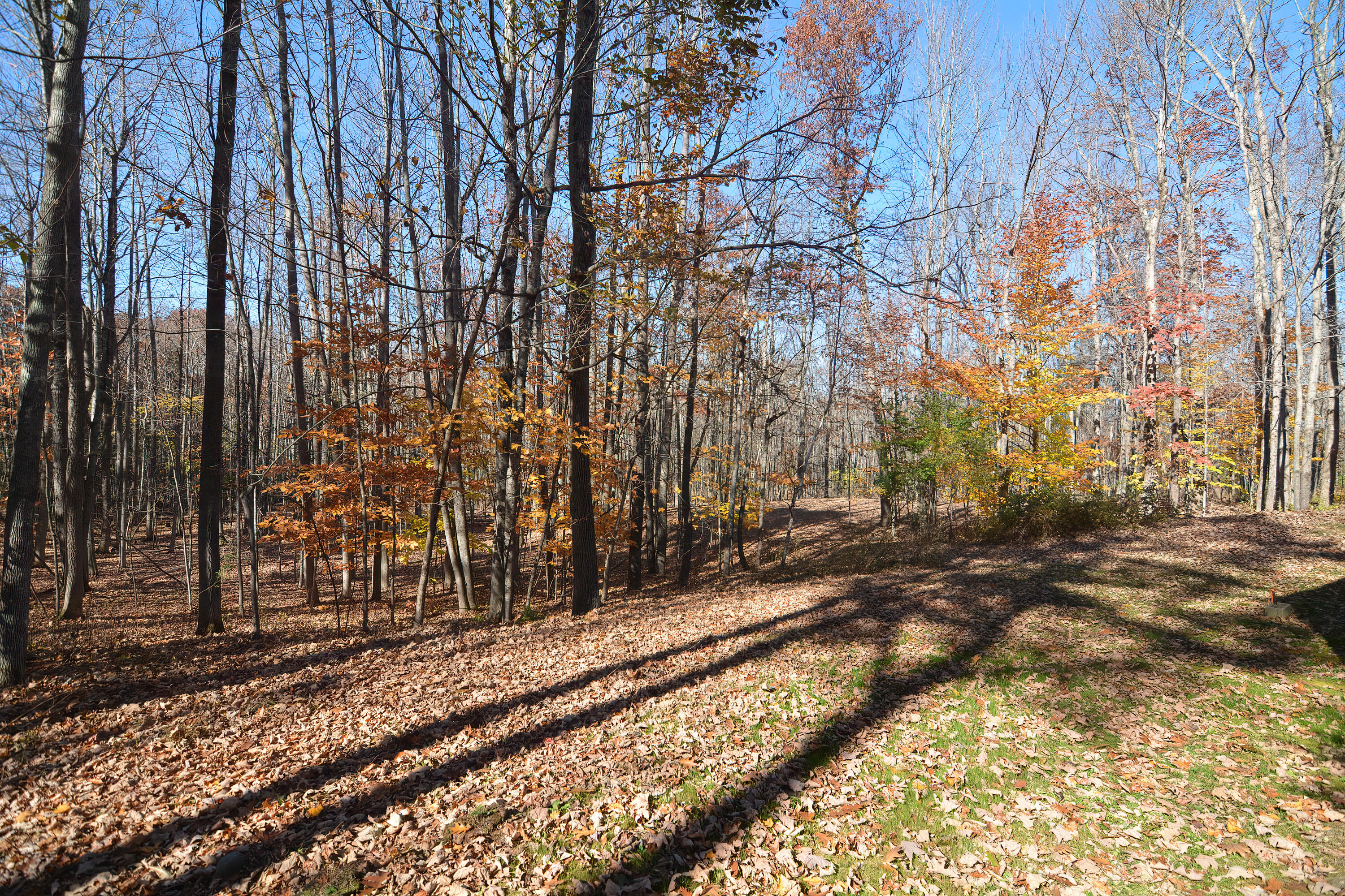 166 Carlton Pond Road Winthrop, ME 04364 - Photo 31 of 120 BSF_0102