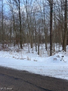 Walter Main Road Geneva, OH 44041 - Photo 2 of 5 View of yard