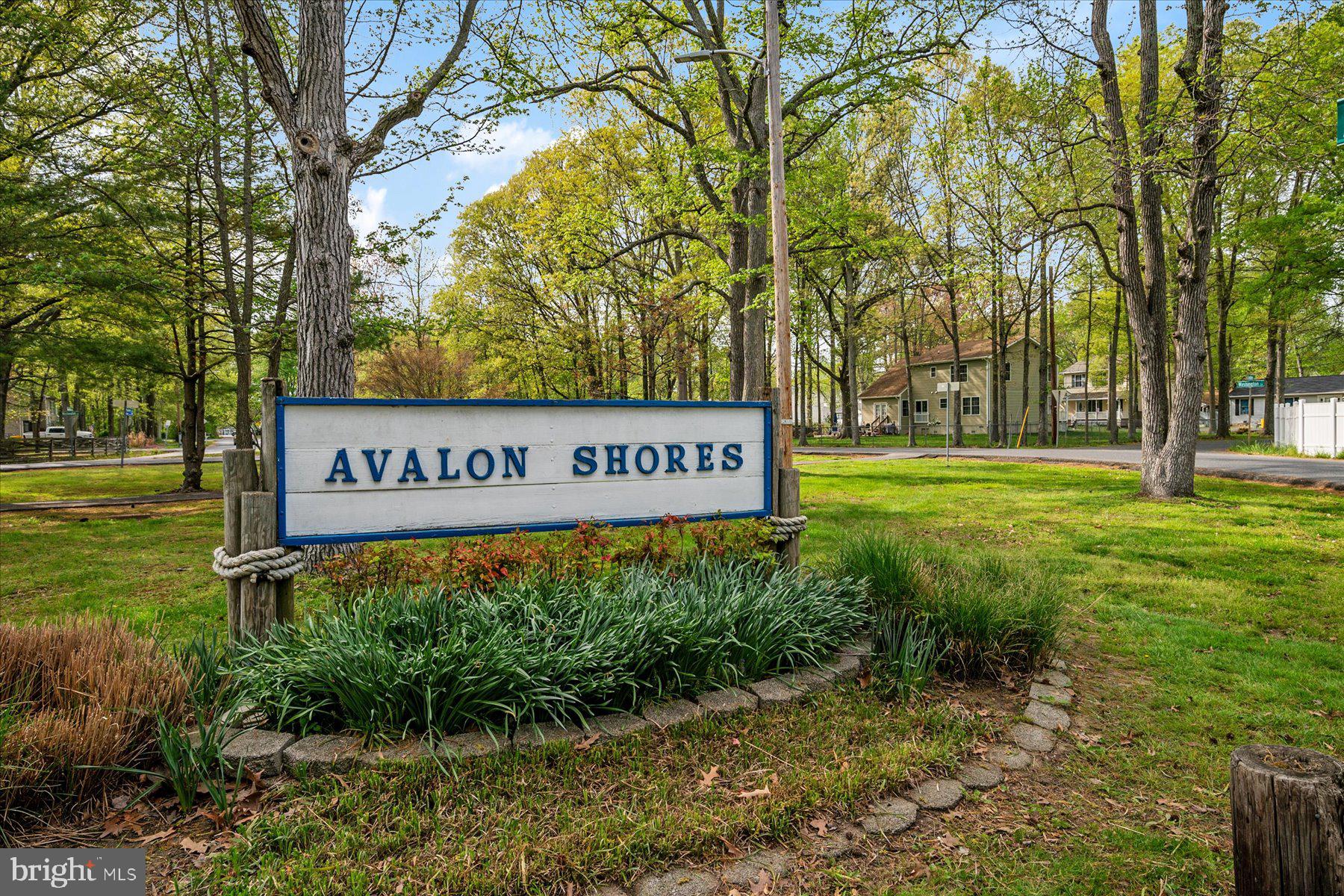 4904 Beech Street Shady Side, MD 20764 - Photo 3 of 26 a view of a park with large trees