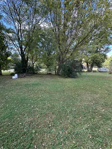 a view of a field with trees in the background