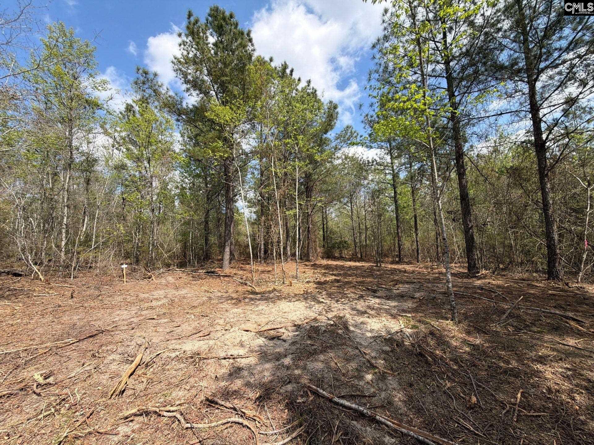 3 Mt Calvary Rd Ridge Spring Ridge Spring, SC 29129 - Photo 23 of 27