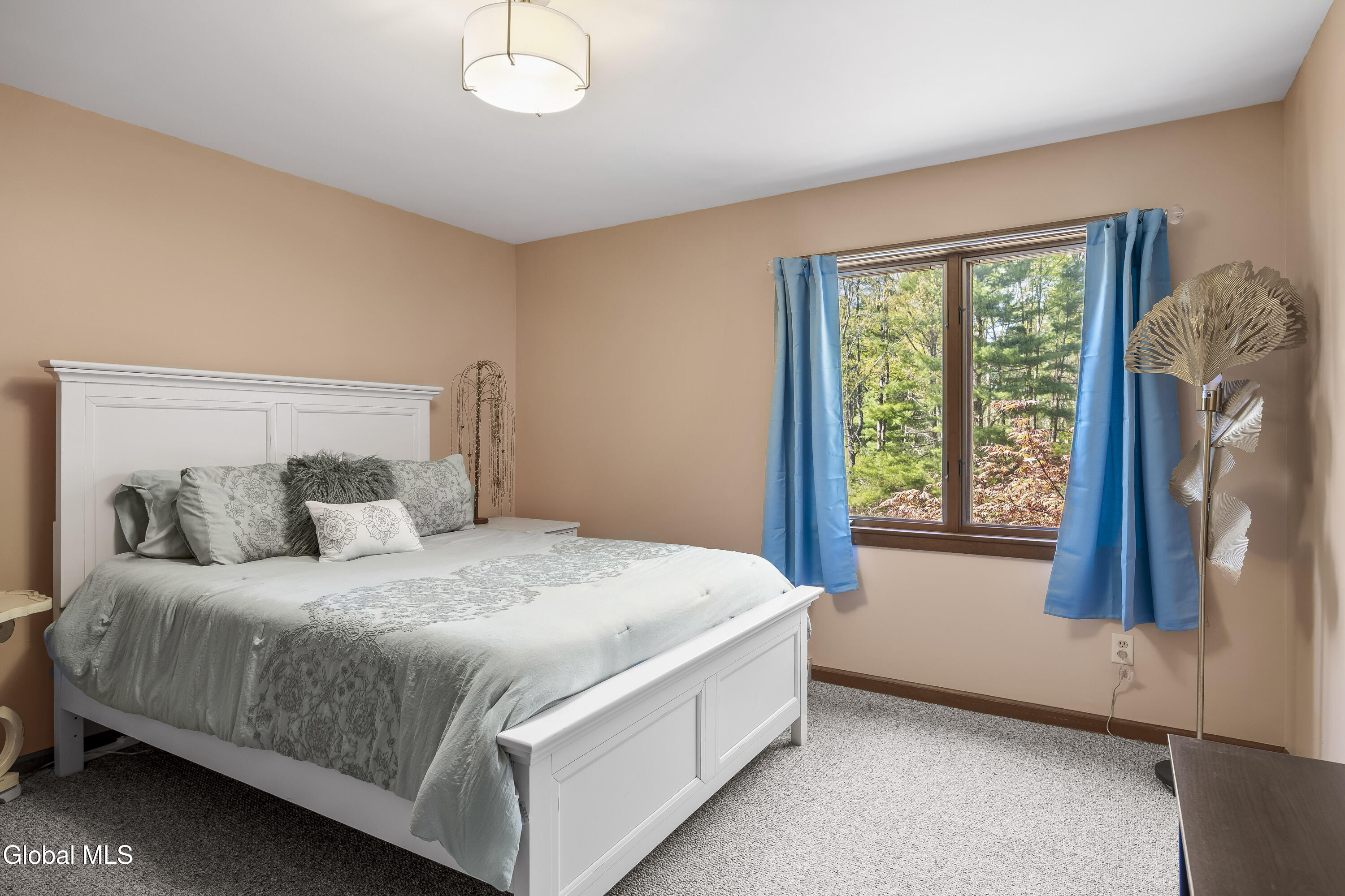 15 Dyer Switch Road Saratoga Springs, NY 12866 - Photo 35 of 70 38