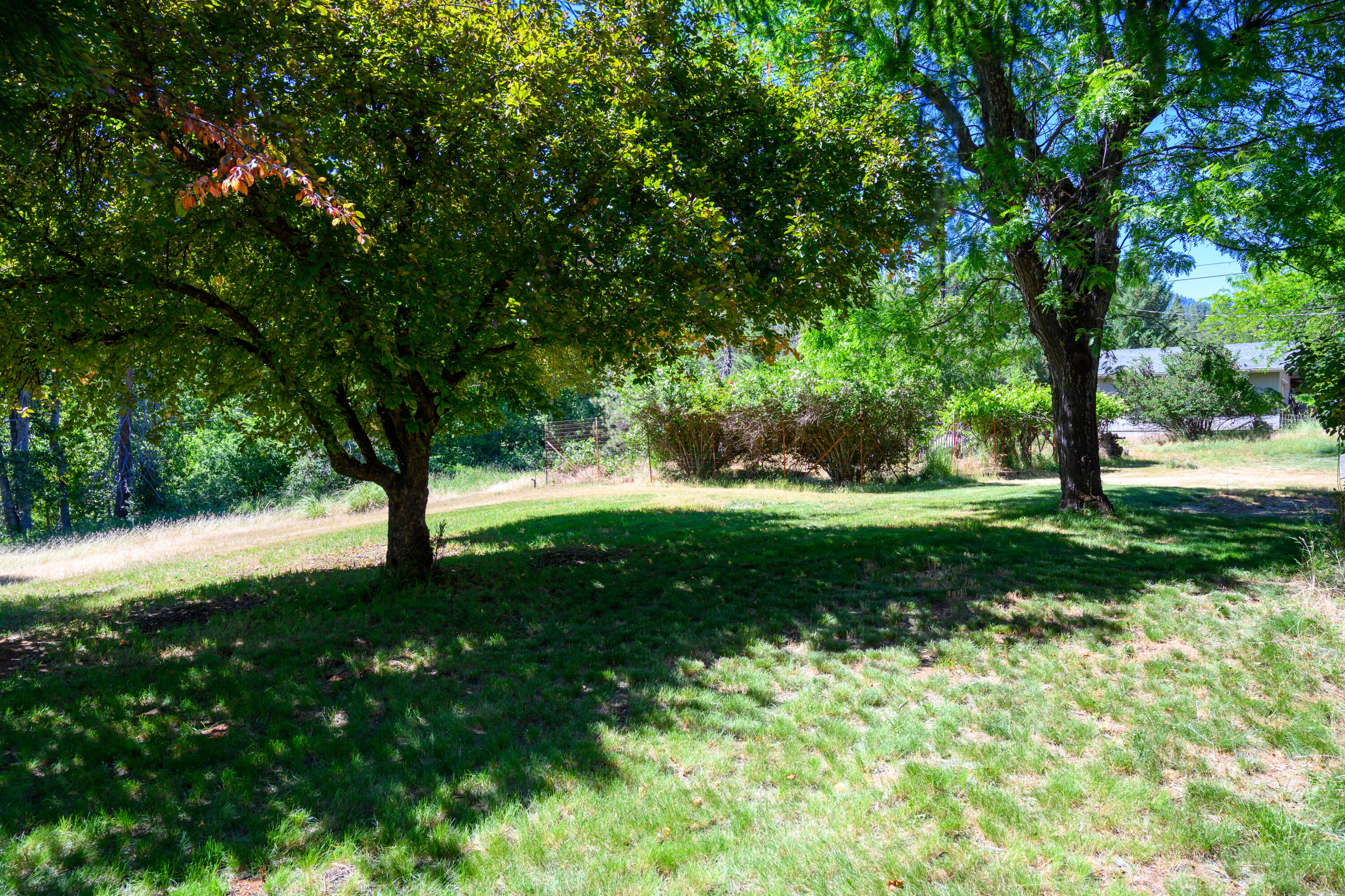 181 Meadow Road Weaverville, CA 96093 - Photo 32 of 38 front yard