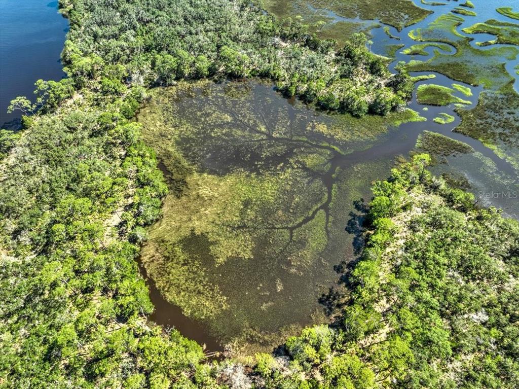 0 Clark Island Cedar Key, FL 32625 - Photo 4 of 24