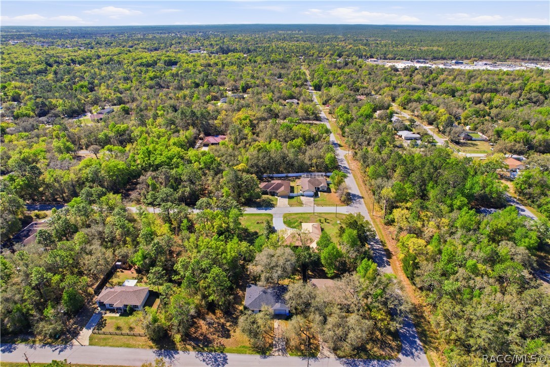 3038 East Rogers Inverness, FL 34453 - Photo 45 of 46