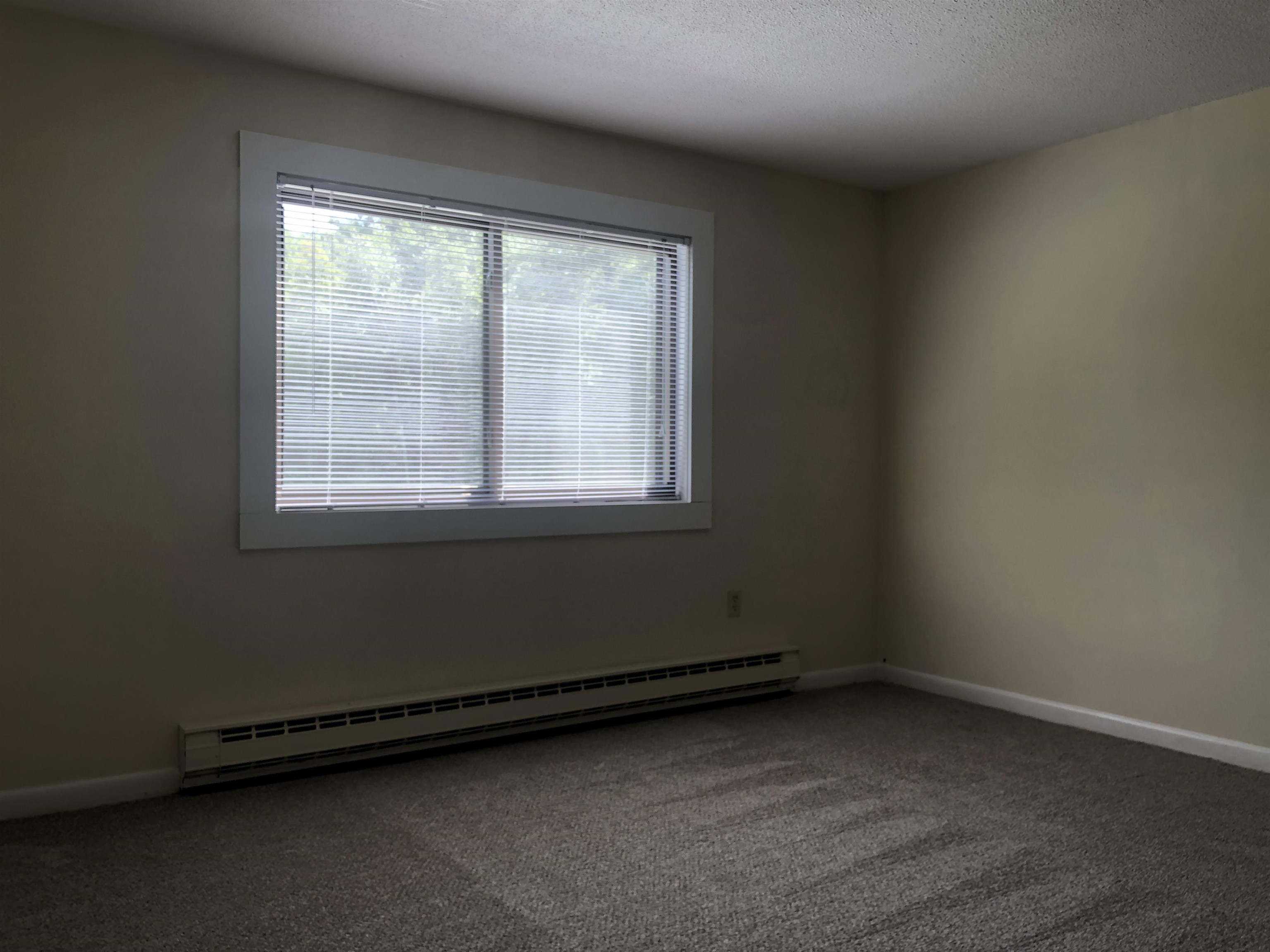 29 Capron Road, Unit 65 Milford, NH 03055 - Photo 25 of 43