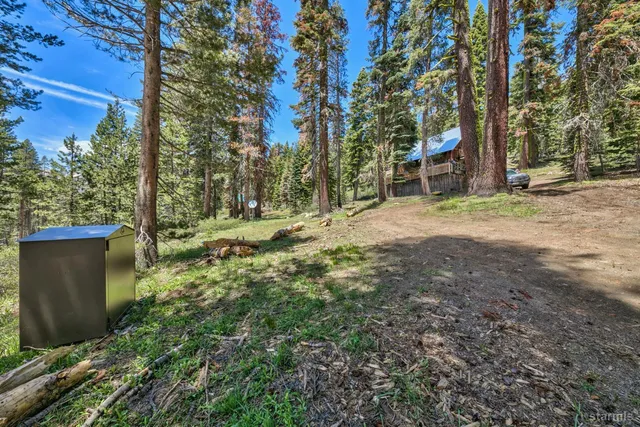 a fire hydrant in the middle of a field