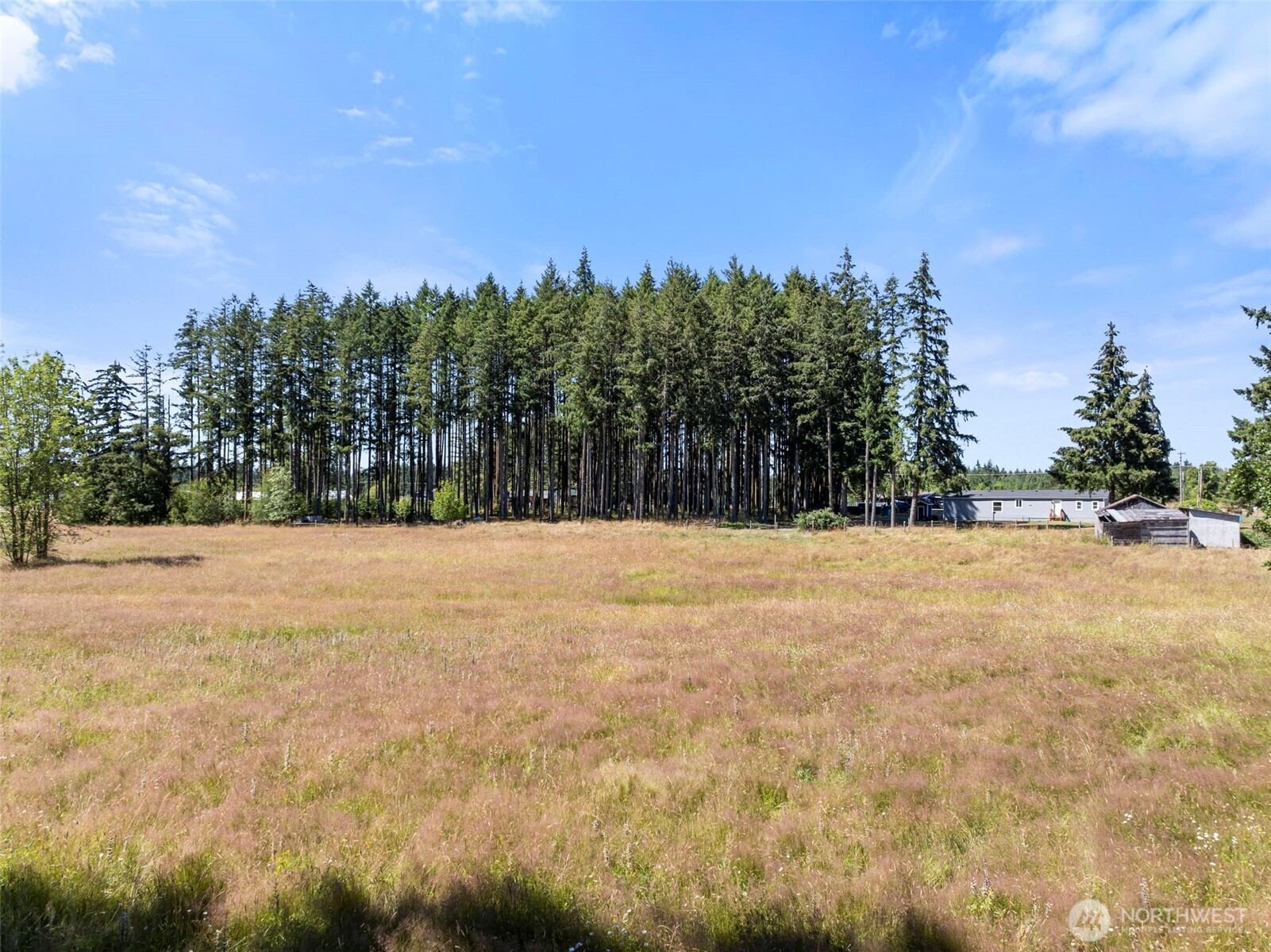 217 Drews Prairie Road Toledo, WA 98591 - Photo 37 of 38