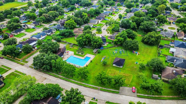 a view of a garden with plants