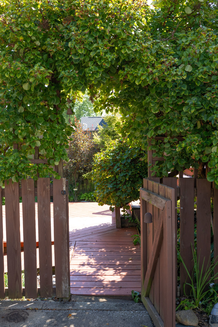 916 West Daniel Street Champaign, IL 61821 - Photo 38 of 46 a view of yard with green space and seating area