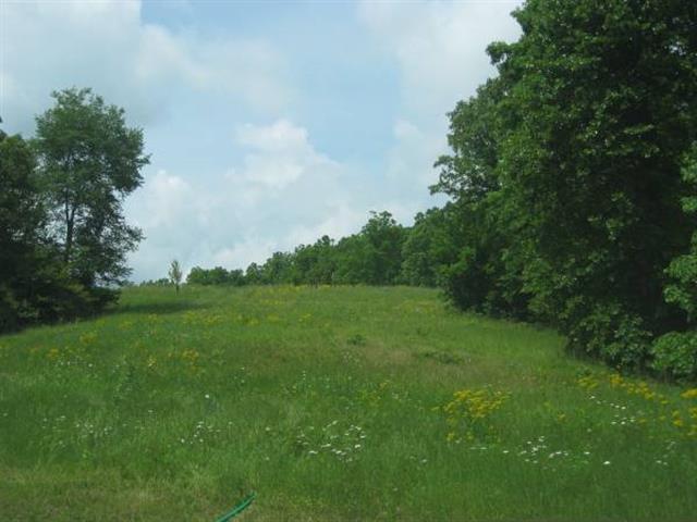 168 Whitehead Road Hohenwald, TN 38462 - Photo 11 of 11 Pasture View