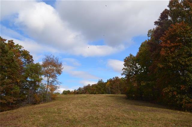 168 Whitehead Road Hohenwald, TN 38462 - Photo 4 of 11 Gallery Image 4