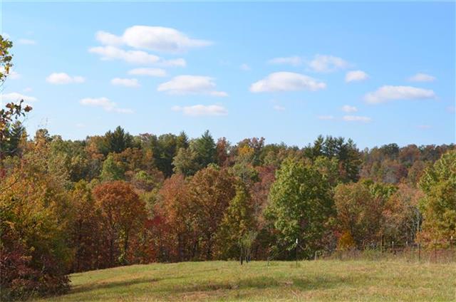 168 Whitehead Road Hohenwald, TN 38462 - Photo 5 of 11 Upper Fields by Road