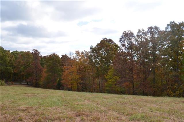 168 Whitehead Road Hohenwald, TN 38462 - Photo 6 of 11 Gallery Image 6