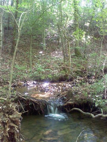 168 Whitehead Road Hohenwald, TN 38462 - Photo 8 of 11 Small Waterfalls