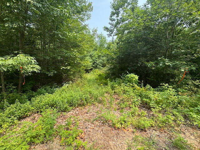 515 Bean Road Otisfield, ME 04270 - Photo 7 of 20 06