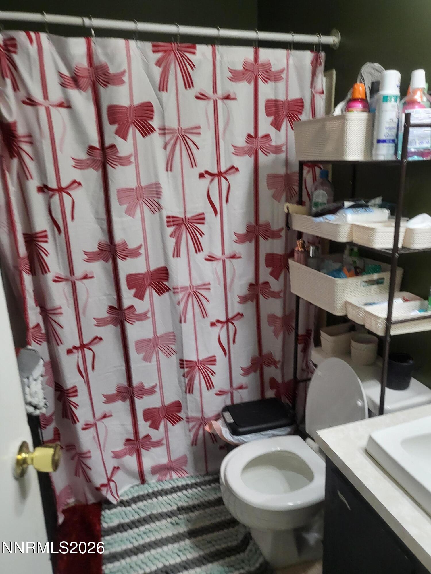 319 Lee Street Carson City, NV 89706 - Photo 11 of 11 20260207_110507