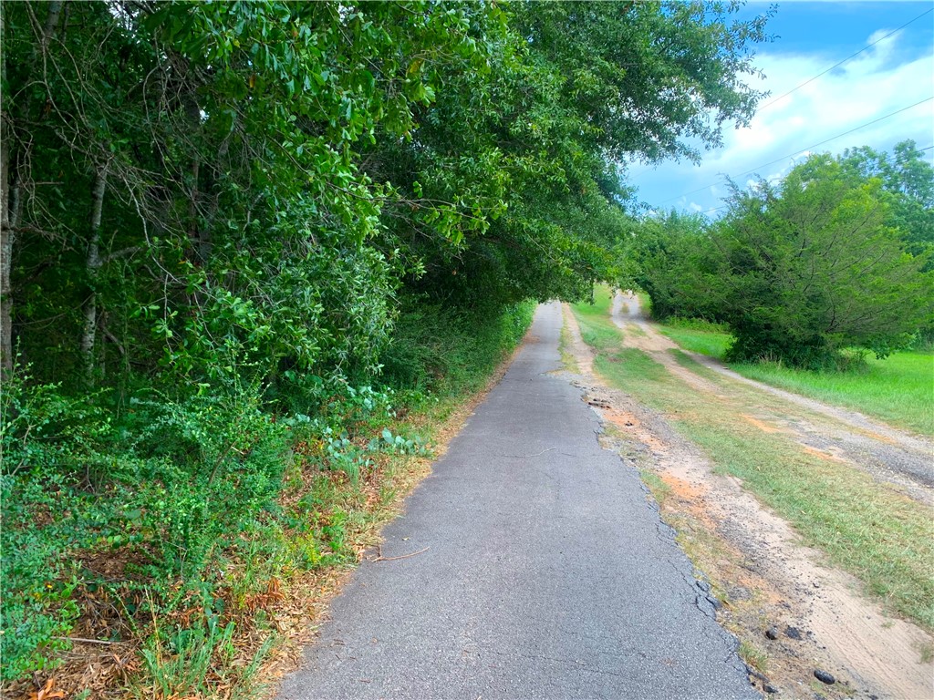 341 East Church Road Easley, SC 29642 - Photo 2 of 14