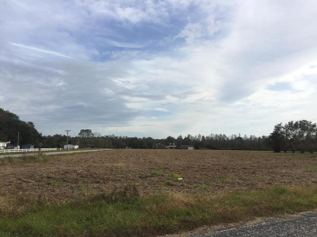 2237 Home Branch Road Manning, SC 29102 - Photo 1 of 1 Gallery Image 1