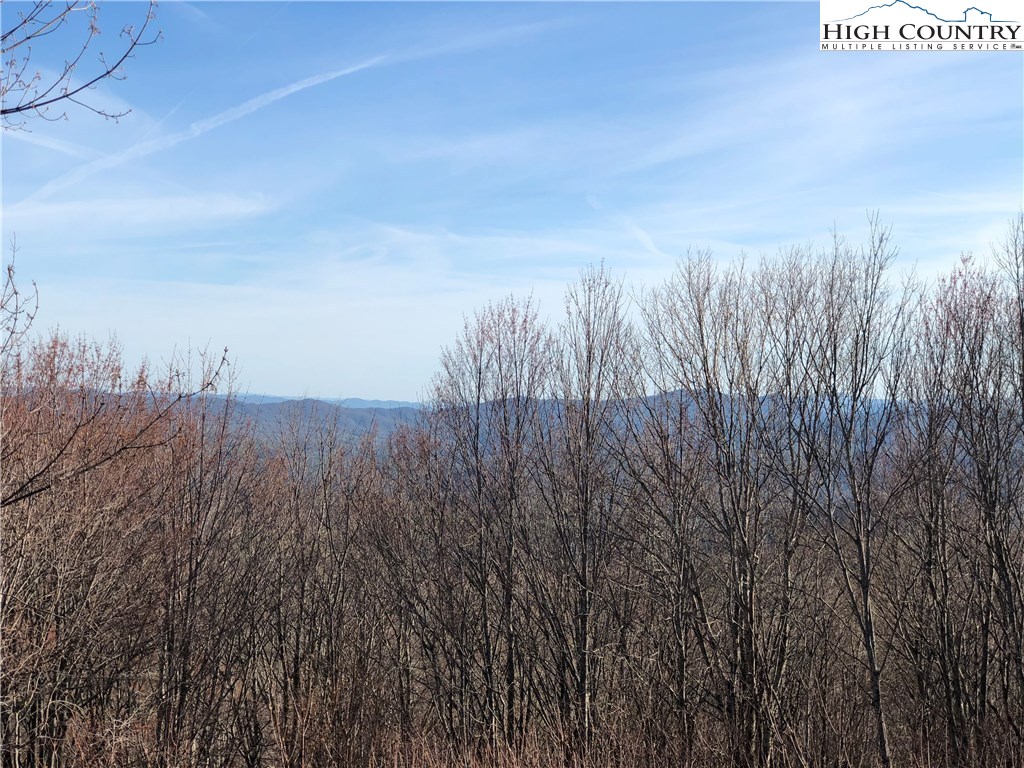208 Grassy Gap Loop Road Beech Mountain, NC 28604 - Photo 38 of 42 Gallery Image 38
