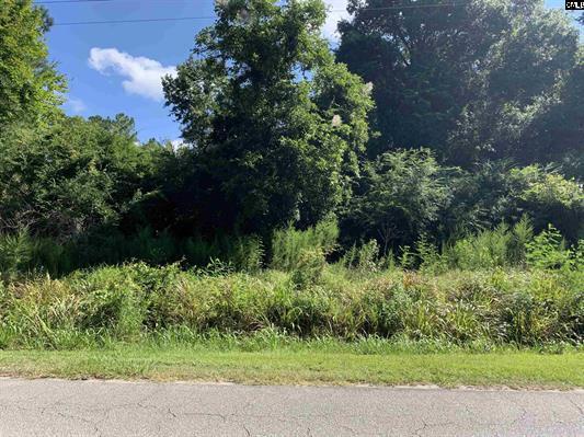 0 Sugar Hill Road St. George, SC 29477 - Photo 2 of 8 592260-2a7aa499-7533-4a45-99e4-172d5bf5c