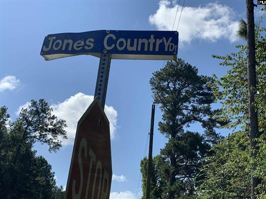 0 Sugar Hill Road St. George, SC 29477 - Photo 3 of 8 592260-90a97b89-dcc6-4b21-84ad-86baa2a2f