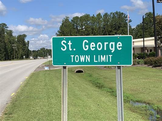 0 Sugar Hill Road St. George, SC 29477 - Photo 5 of 8 592260-41be0507-80be-4c20-9265-fc53bfd3f