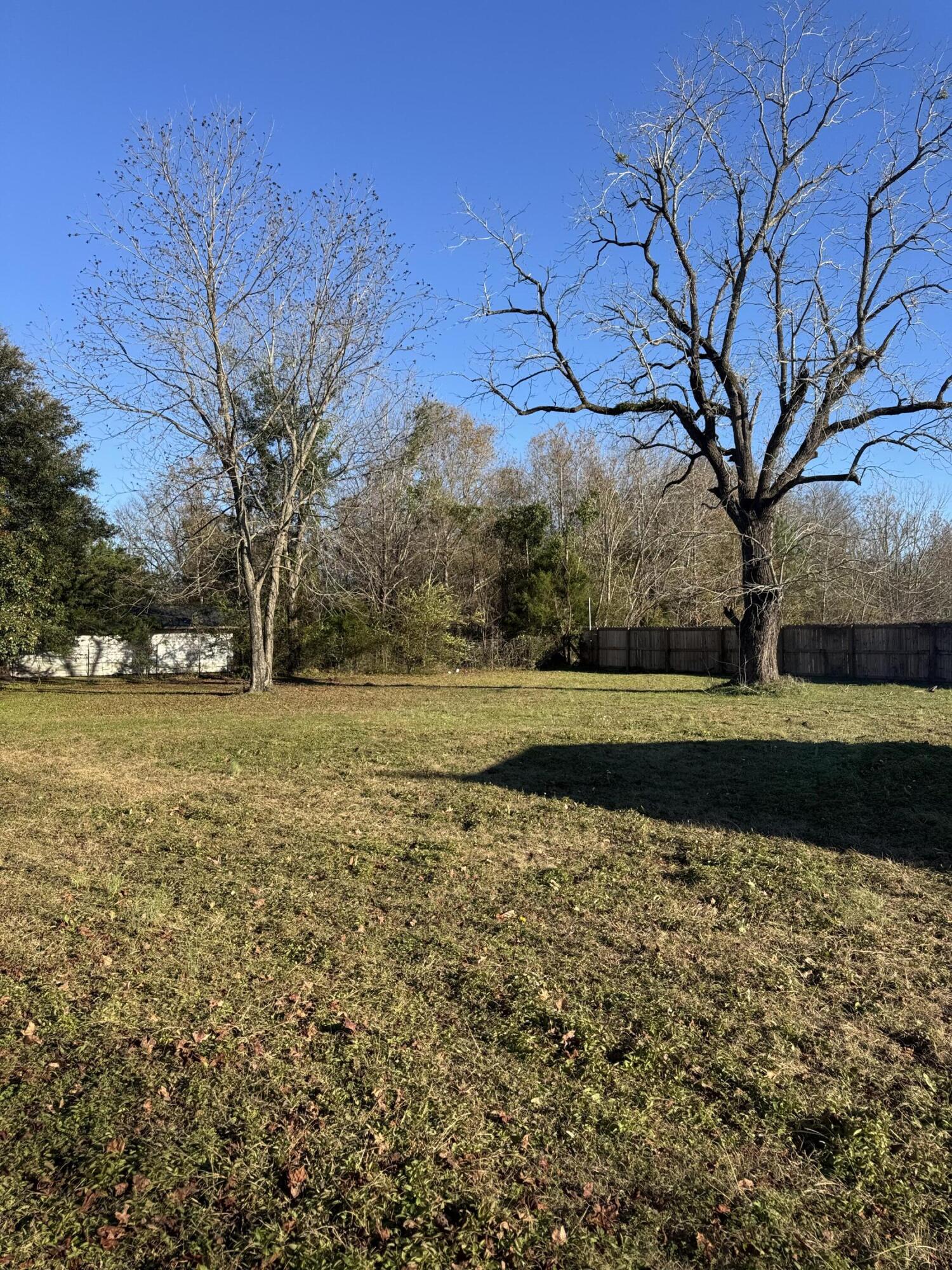 1137 M W Rickenbaker Road Manning, SC 29102 - Photo 18 of 20 IMG_8138