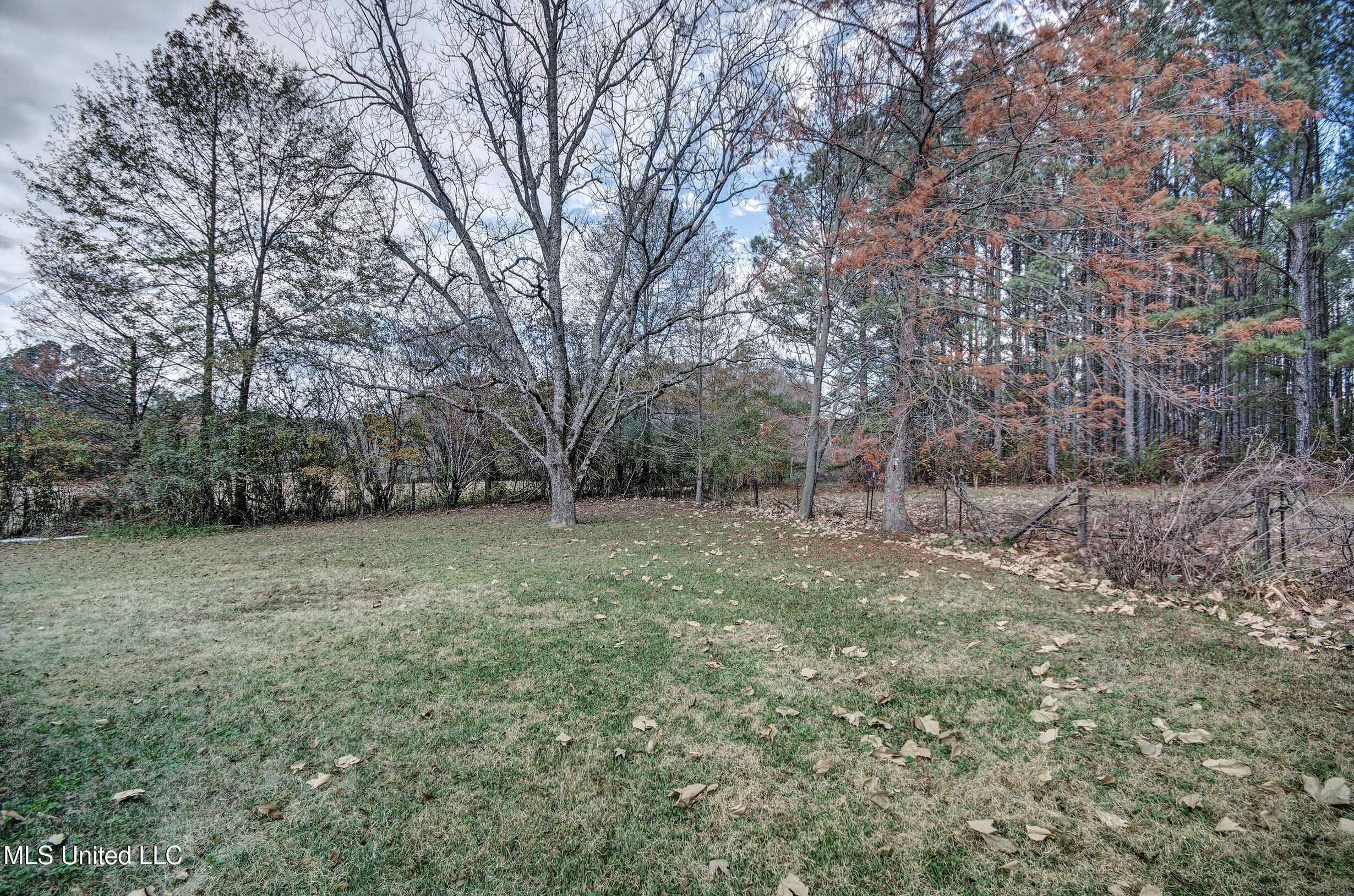 397 Keeli Road Carthage, MS 39051 - Photo 25 of 31 IMGP3172_3_4