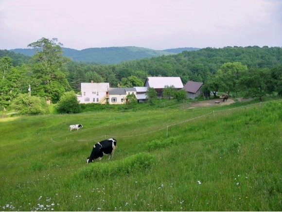 981 Carpenter Hill Road Guilford, VT 05301 - Photo 1 of 1